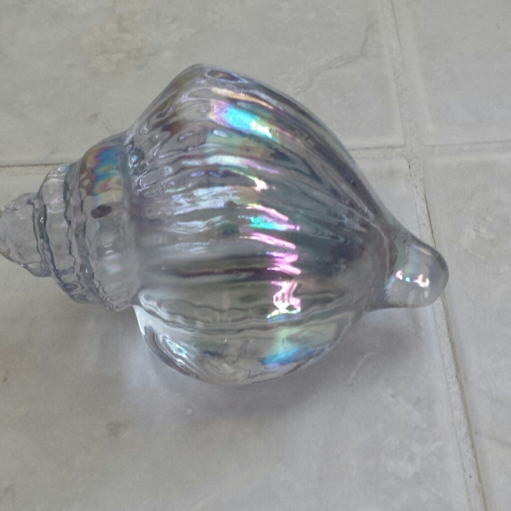 Iridescent Shell Decor - Picture 2 of 9